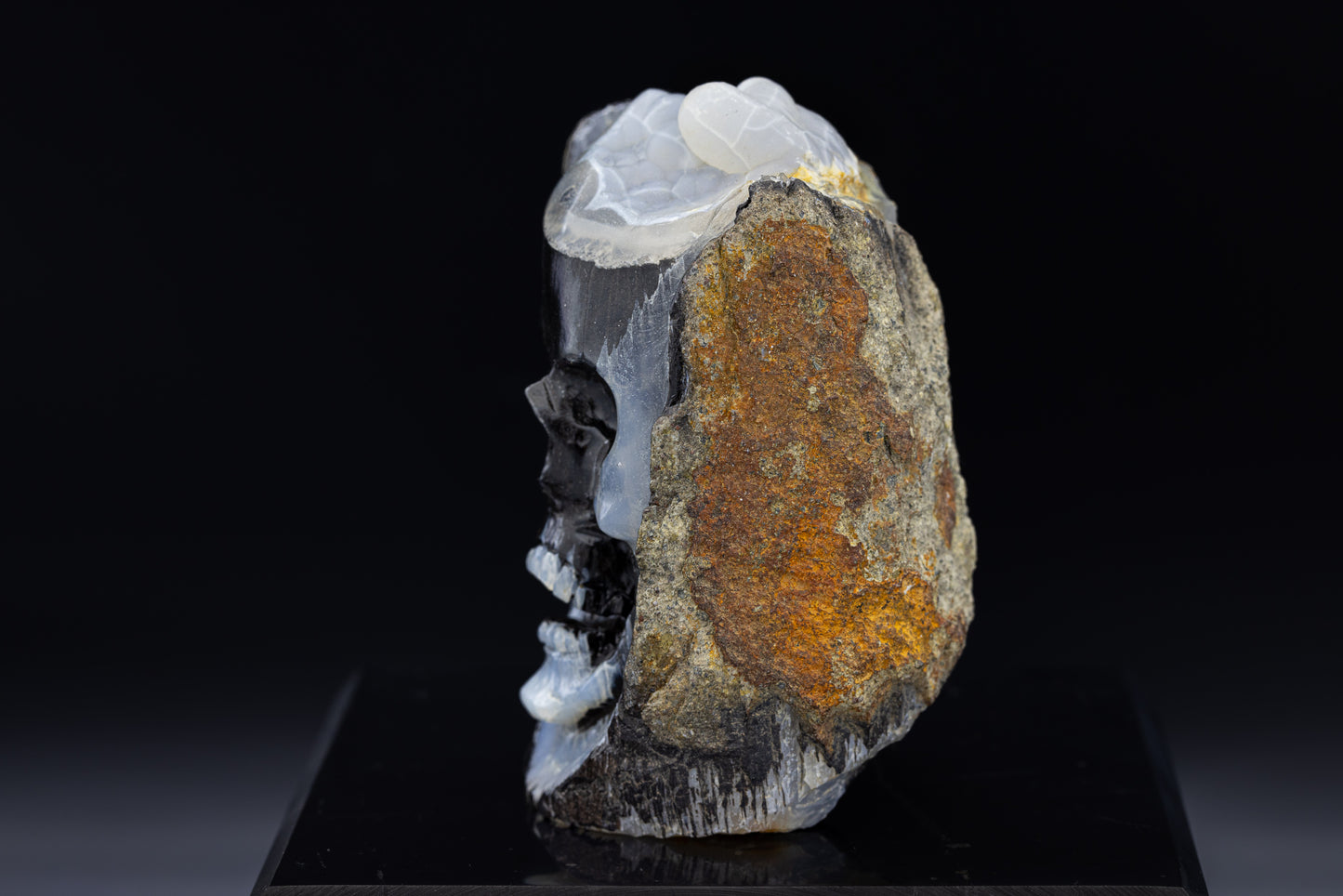 Indonesian Agatized Petrified Wood Skull Carving
