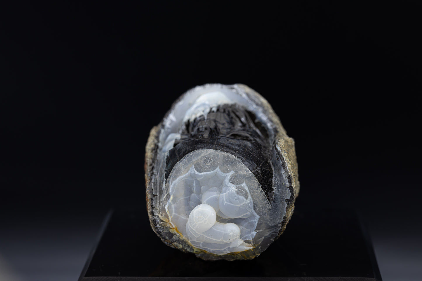 Indonesian Agatized Petrified Wood Skull Carving