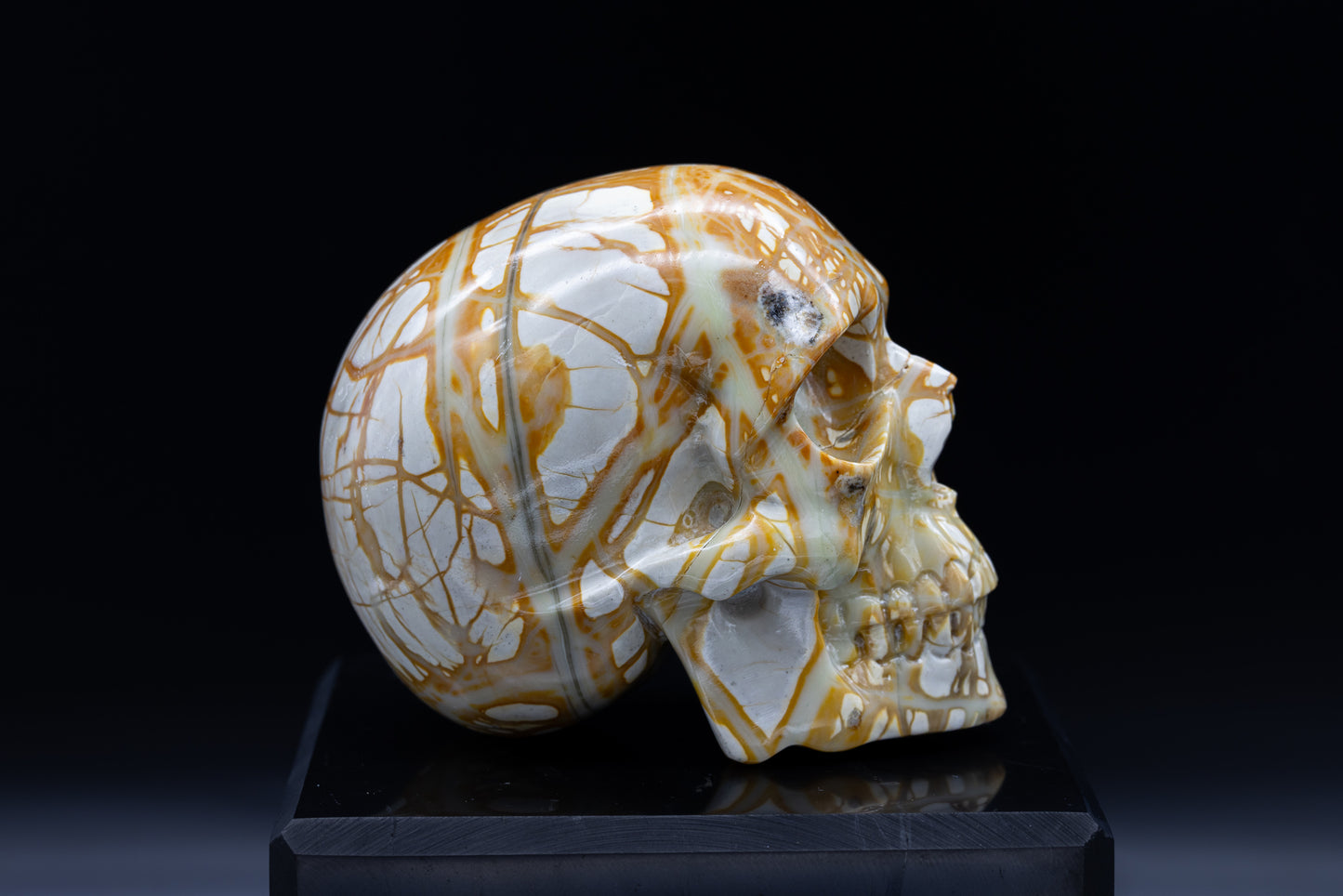 Maligano Jasper Skull