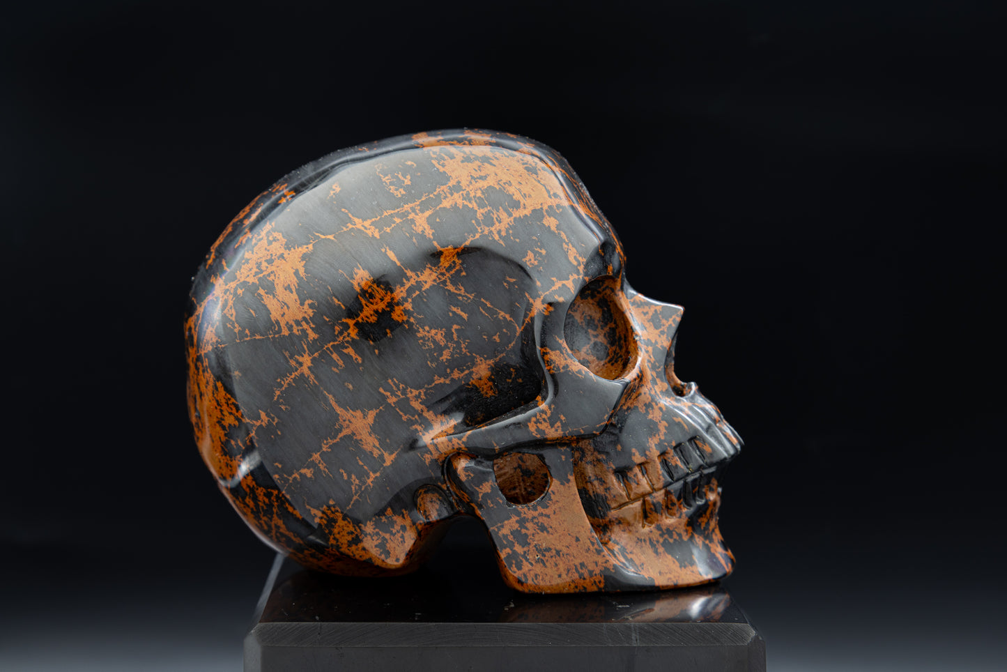 Premium Mahogany Obsidian Hollow Jaw Skull