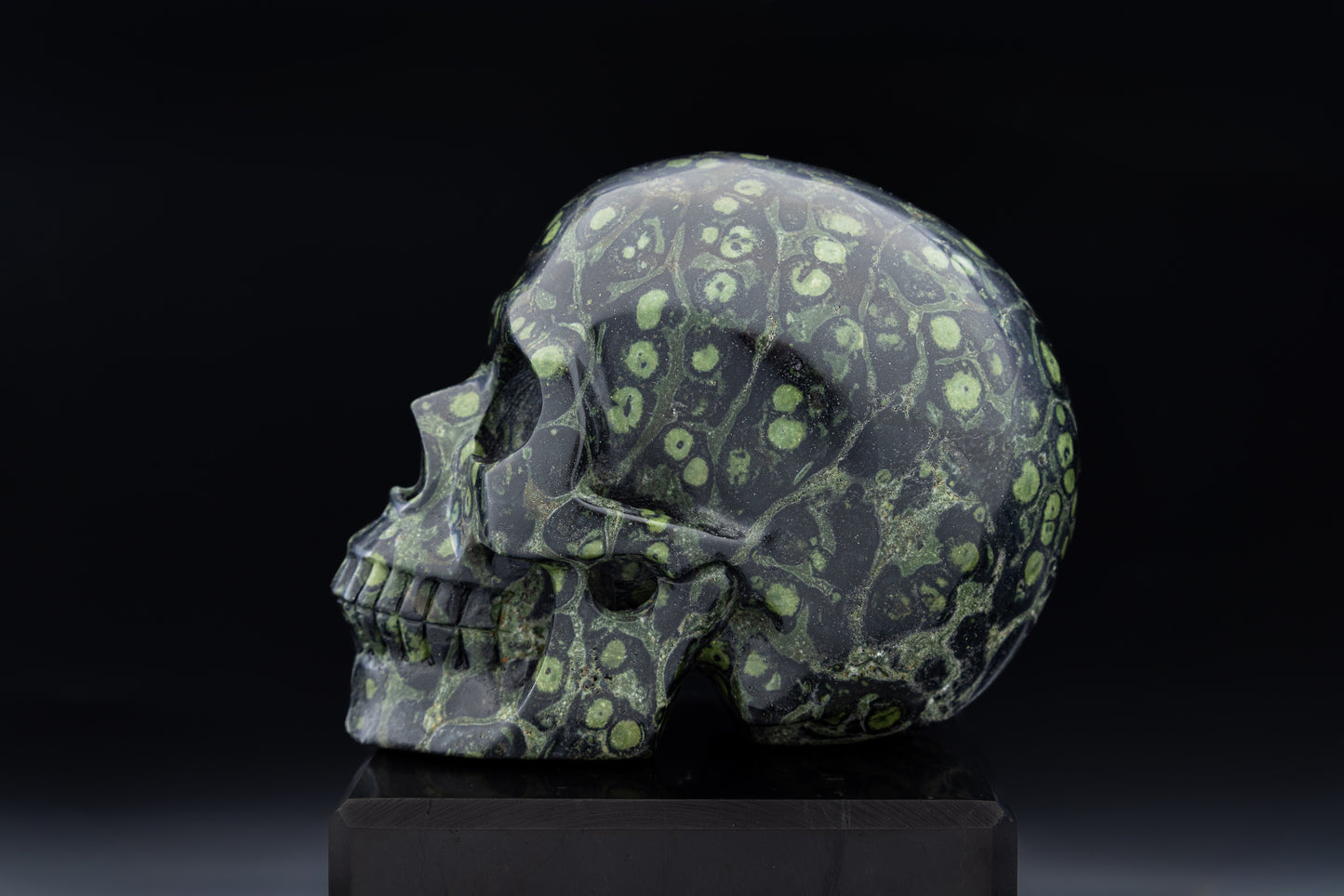 Premium Kombaba Jasper Hollow Jaw Skull