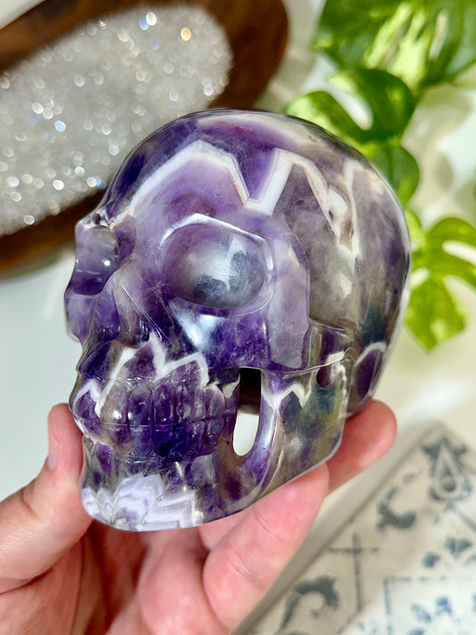 Premium Hollow Jaw Chevron Amethyst Crystal Skull Carving