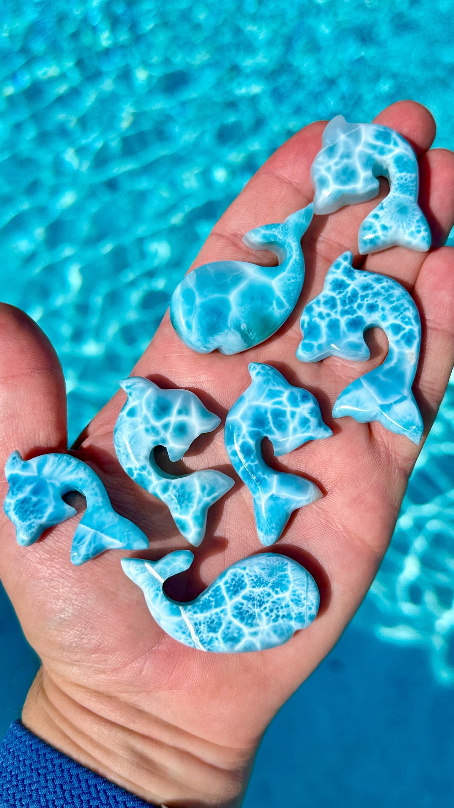 AA Larimar Dolphin Carvings