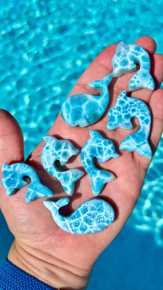 AA Larimar Dolphin Carvings