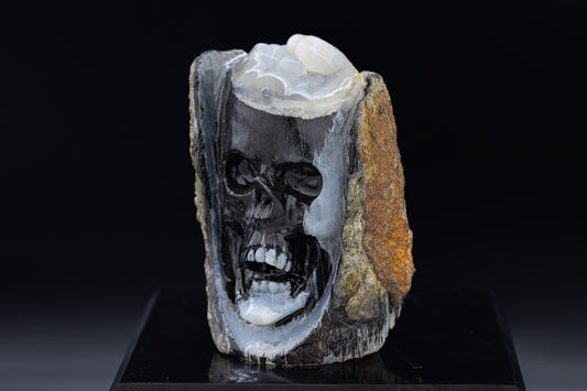 Indonesian Agatized Petrified Wood Skull Carving