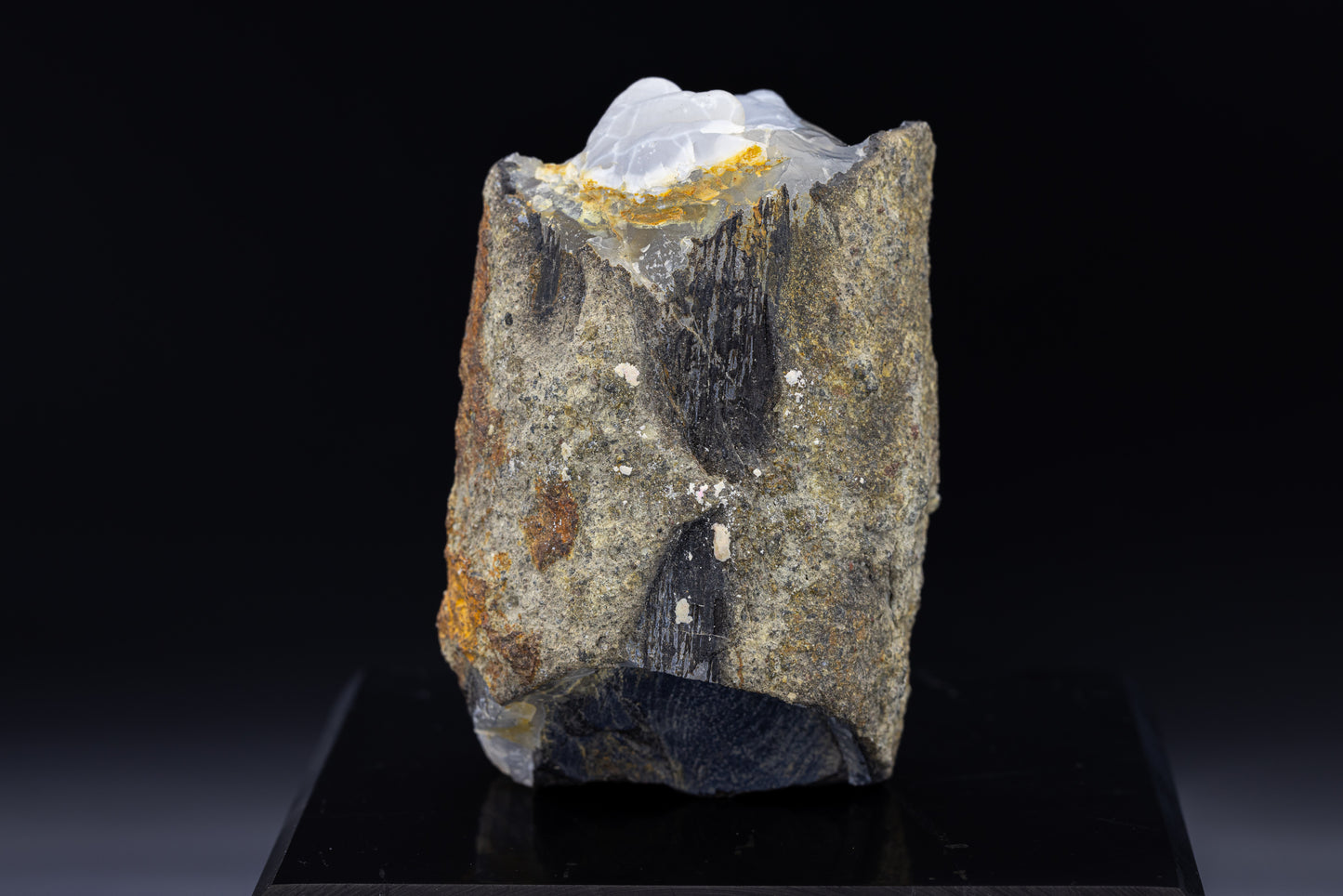 Indonesian Agatized Petrified Wood Skull Carving