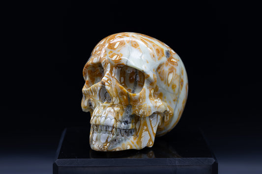Maligano Jasper Skull