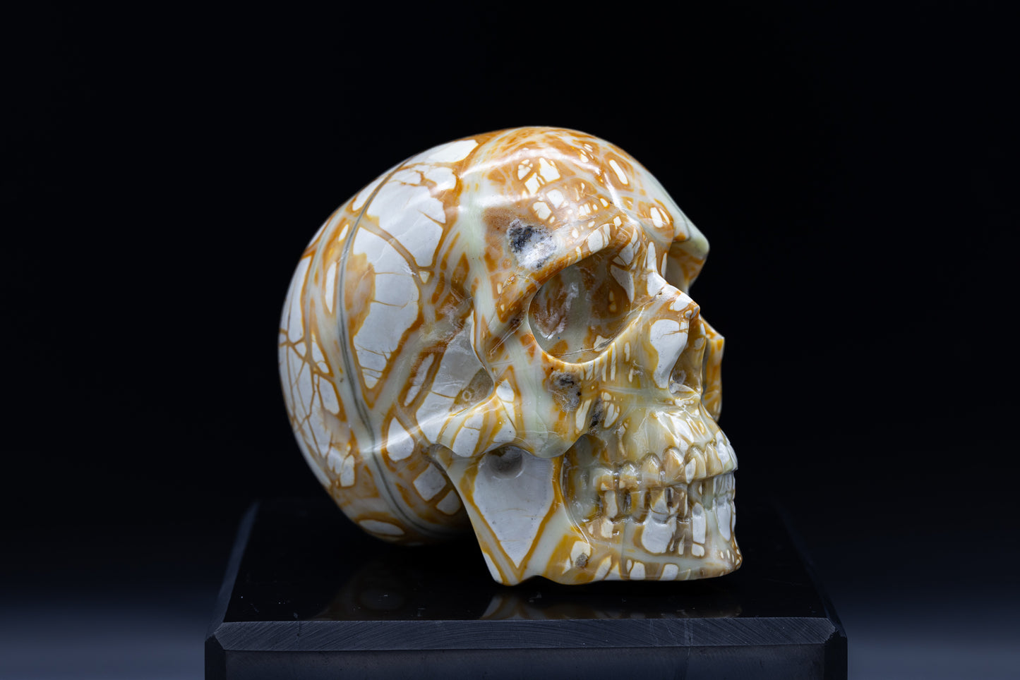Maligano Jasper Skull