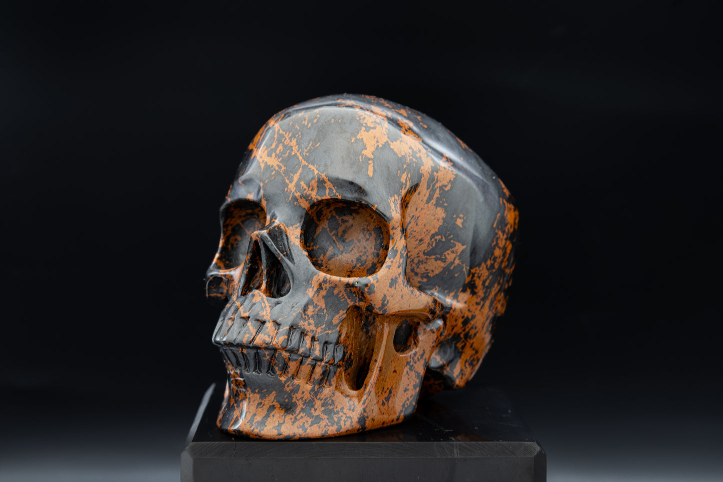 Premium Mahogany Obsidian Hollow Jaw Skull