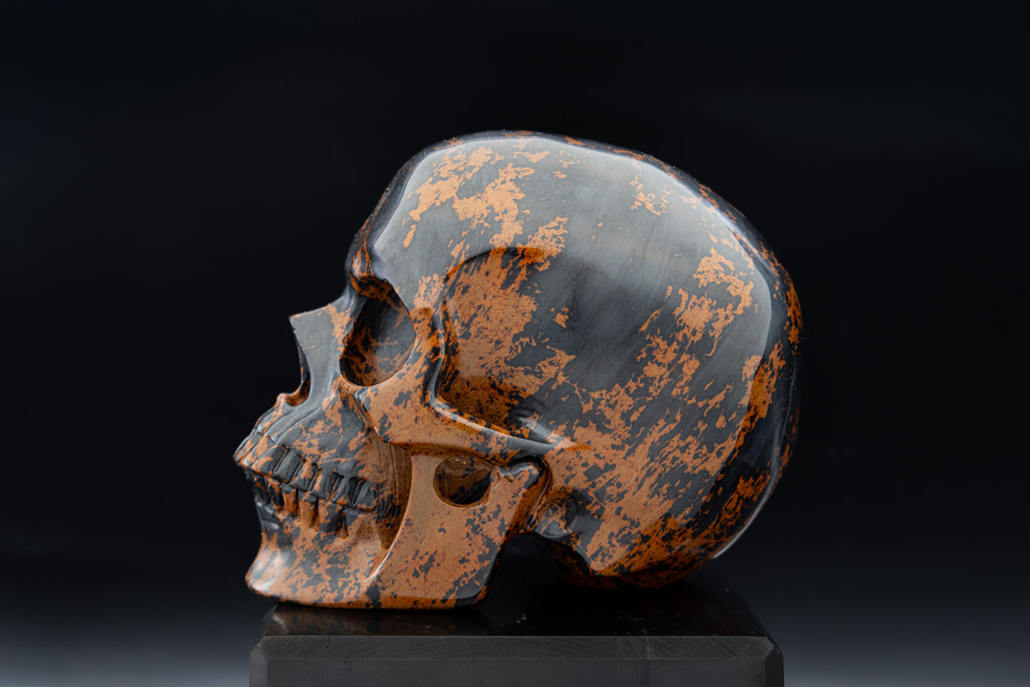 Premium Mahogany Obsidian Hollow Jaw Skull