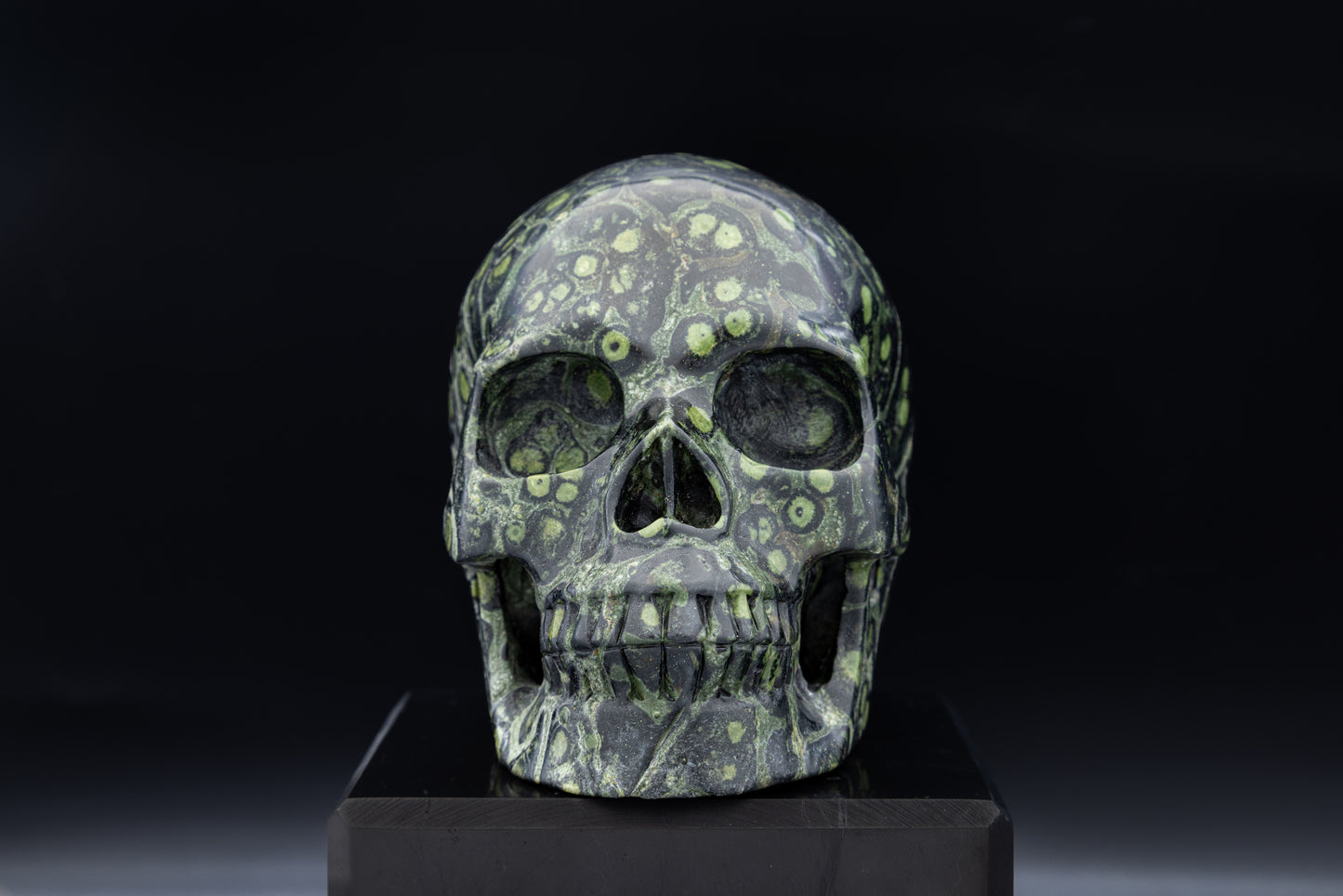 Premium Kombaba Jasper Hollow Jaw Skull