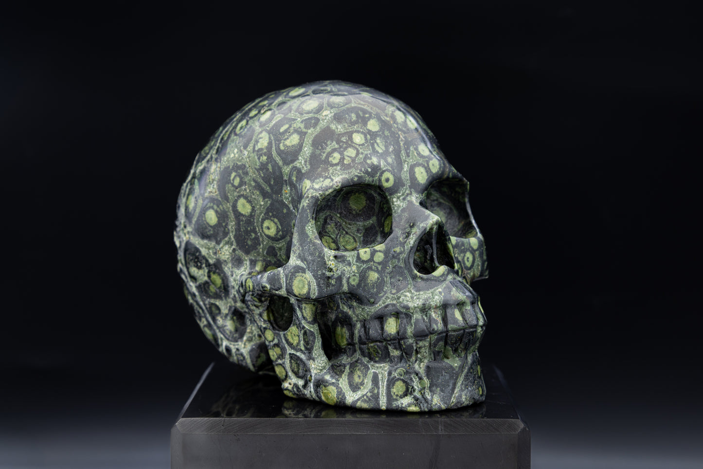 Premium Kombaba Jasper Hollow Jaw Skull