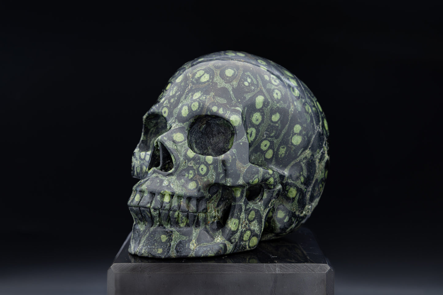 Premium Kombaba Jasper Hollow Jaw Skull