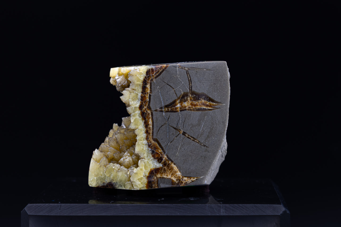 Utah Septarian Free Form