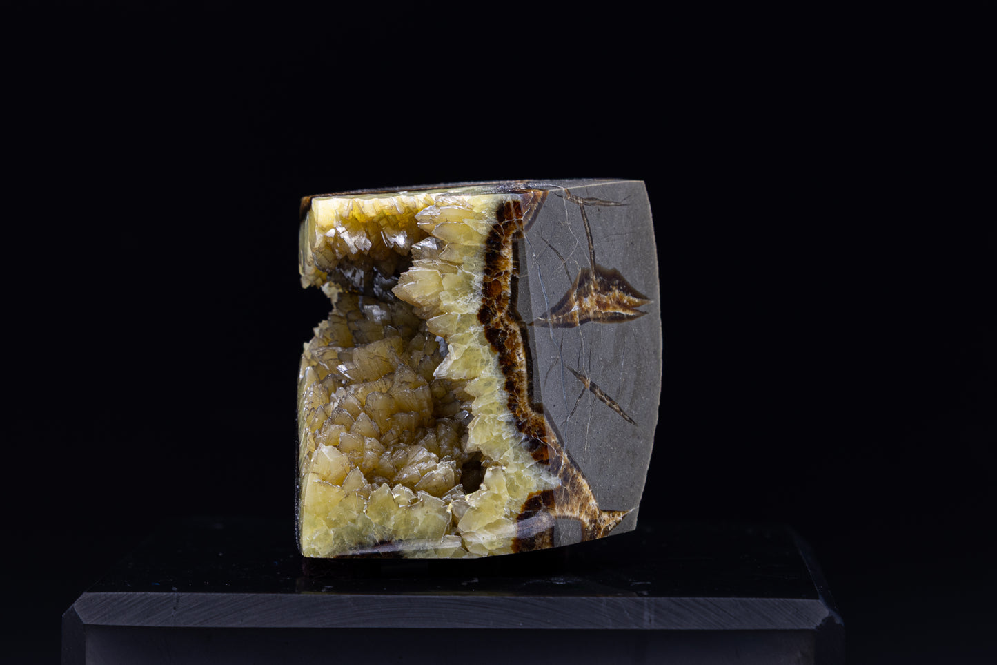 Utah Septarian Free Form
