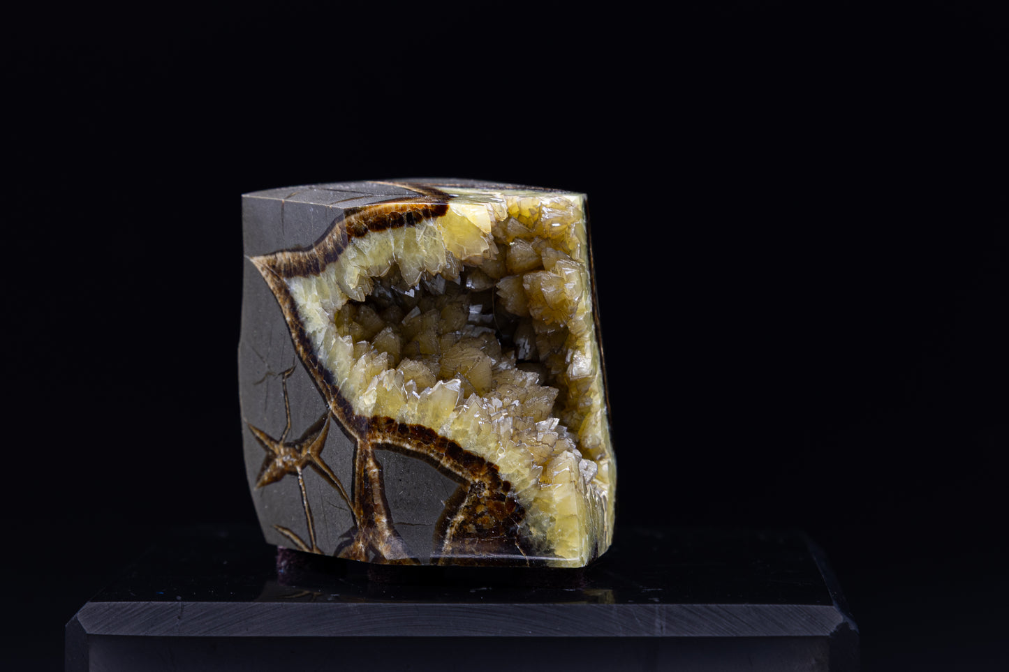 Utah Septarian Free Form
