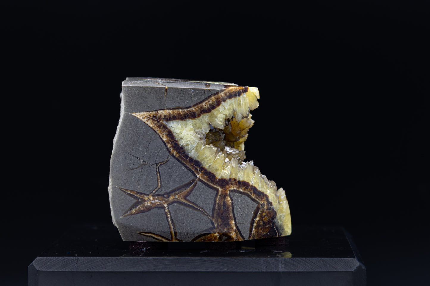 Utah Septarian Free Form