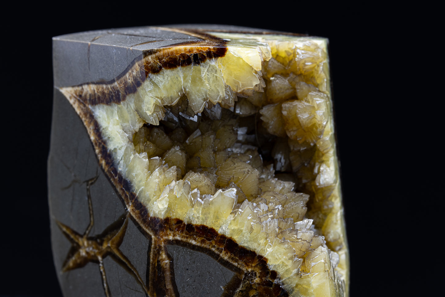 Utah Septarian Free Form