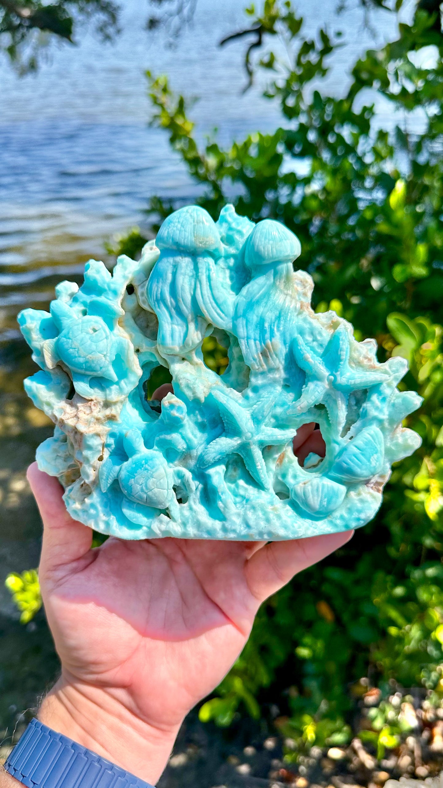 Blue Aragonite Coral Reef Carving with Sea Turtle, Starfish, Jellyfish