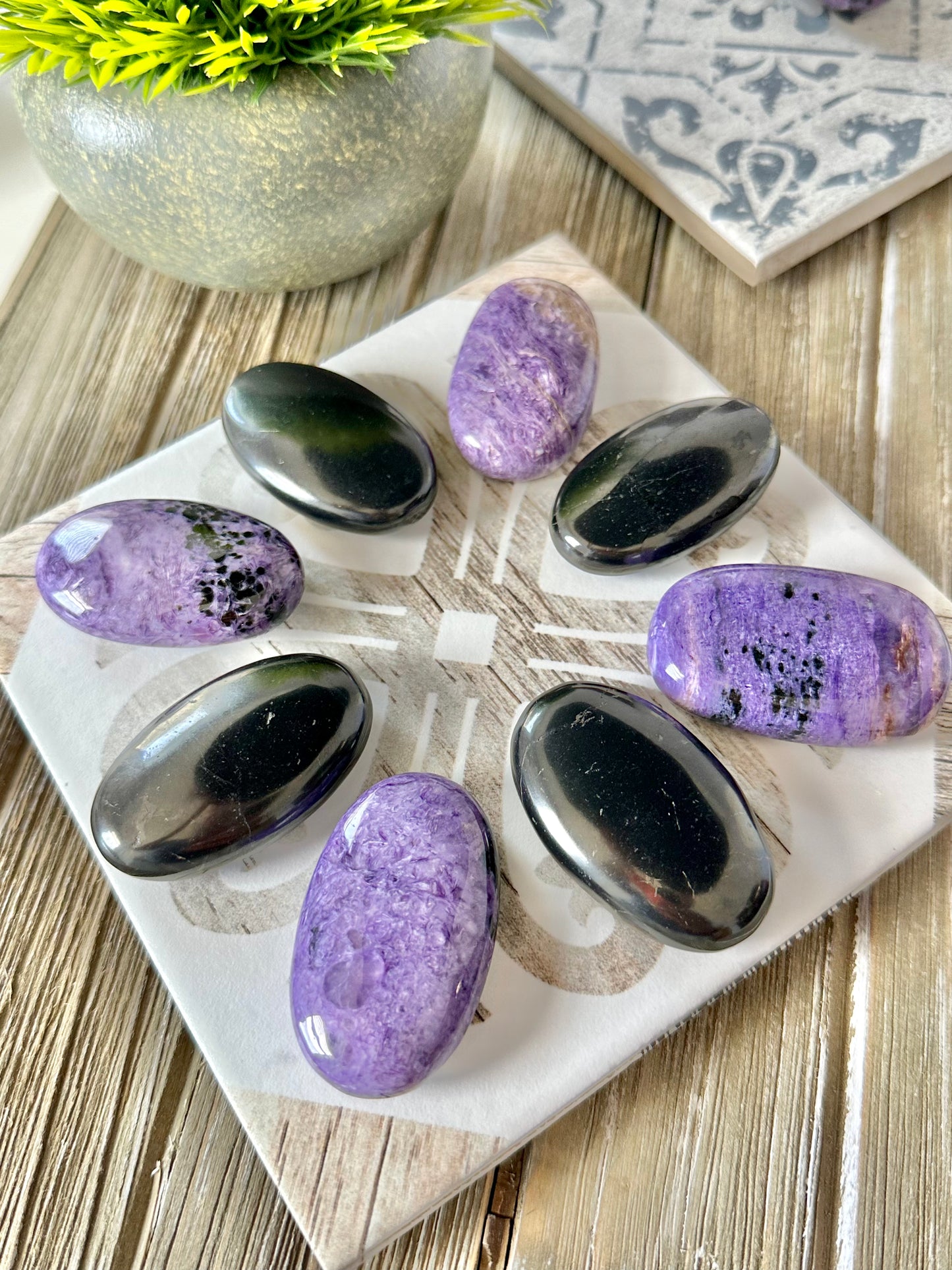 Charoite & Shungite Palm Stone Harmonizer/Balancer Set